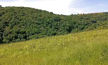 Imagem 4: Terrenos Amplos em Ibiúna 1000m² com Muito Verde