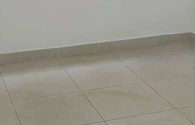 Imagem 6: Aluguel Vicente Pires