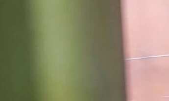 Imagem 6: Casa em Nilópolis RJ