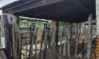 Imagem 7: Vendo fazenda Fazenda / sítio com venda por R$340.000