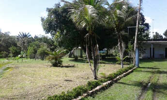 Imagem 4: Terreno na pista AM010, 1.000.000m2 - 860m frente