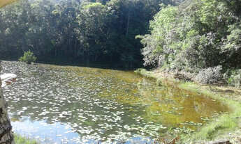 Imagem 6: Terreno na pista AM010, 1.000.000m2 - 860m frente