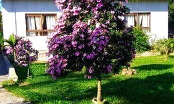 Imagem 3: Lindo Mini sitio no Muquem