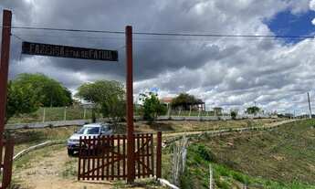 Imagem 7: Fazenda as margens da BR 232 com 11 hectares