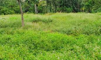 Imagem 3: Terreno para venda tem m² ponto Área turística