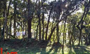 Imagem 6: Terreno na Vila Pinheiro em Ana Rech! REF: 793