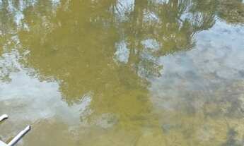 Imagem 3: Sítio com Igarapé, água corrente, perto da cidade, AM010, KM 32