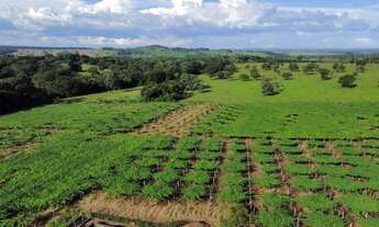 Imagem 2: Fazenda em Goiânia