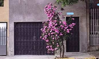 Imagem: Sobrado semi-geminado, totalmente reformado!!!-Sumaré