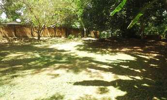 Imagem 2: Terreno / 1.200m² / Bairro Flores