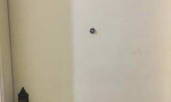 Imagem 6: Apartamento com 1 dormitório à venda, 58 m² por R$ 320.000,00 - Aparecida - Santos/SP