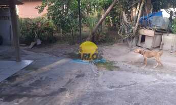 Imagem 7: MATINHOS - Chácara - Colonia pereira