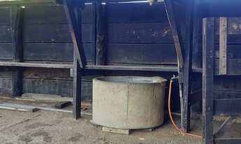 Imagem 6: Fazenda Com 31 Alqueires A 40 Km Da Ponte Jk. quartos