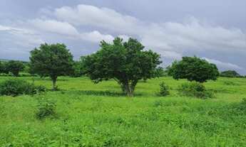 Imagem 6: Excelente Fazenda com 288 hectares na região de cajazeiras entre Macaíba e bom Jesus-RN