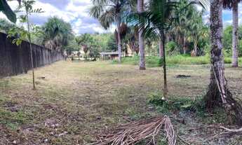 Imagem 5: Sítio com Igarapé, água corrente, perto da cidade, AM010, KM 32