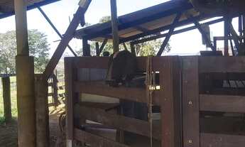 Imagem 7: Fazenda Com 31 Alqueires A 40 Km Da Ponte Jk. quartos