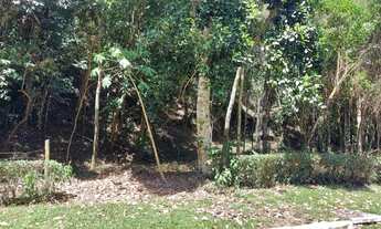 Imagem 6: Terreno Vilas Romanas