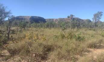 Imagem 5: Fazenda no municipio de Lizarda R$ 13 mil alqueire no Tocantins para cria e engorda de gad