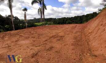 Imagem 4: Terreno Rural para Venda em Campo Largo, Itaqui de Cima