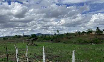 Imagem 5: Fazenda as margens da BR 232 com 11 hectares