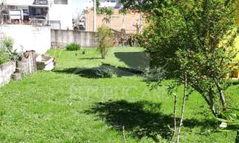 Imagem 2: FLORES DA CUNHA - Terreno Padrão - Centro