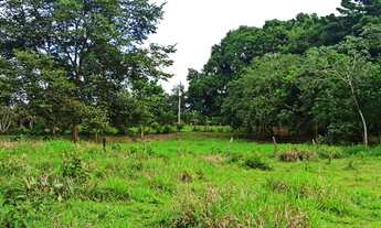 Imagem: Fazenda em 2 Irmãos Tocantins beira do
