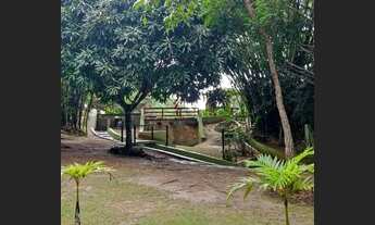 Imagem 7: Casa em aldeia para finais de semana