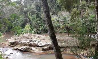 Imagem 7: Chácara com lindo rio e árvores frutíferas 6,3 alqueires!!