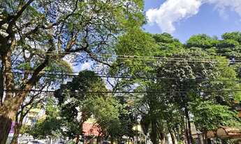 Imagem 3: ED. PALLADIUM Apartamento com 1 dormitório