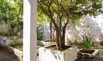 Imagem 3: SANTO ANDRE - Residential / Home - VILA LUZITA