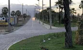 Imagem 2: Lotes No Proximos Ceasa, Infraestrutura Completa . fale conosco