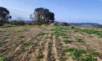 Imagem 3: Lote/Terreno para venda possui 500 metros quadrados em Centro - Atibaia - SP