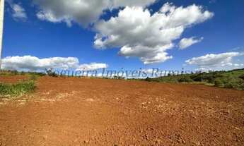 Imagem 5: Fazenda com 40 alqueires, região de Avaré - SP (Nogueira Imóveis Rurais
