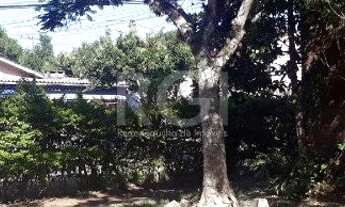 Imagem 7: Terreno para Venda - 0m², 0 dormitórios, Tristeza