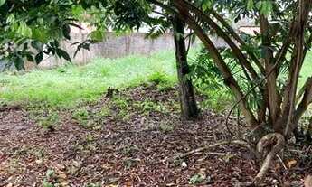 Imagem 5: Terreno Parque 10 de novembro