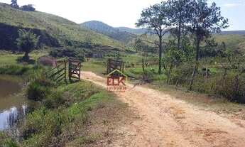 Imagem 2: Fazenda com 4 dormitórios à venda, 6292222 m² por R$ 12.500.000,00 - Parque Residencial Ir