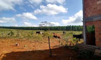 Imagem 5: Fazenda de 74,5 hectares para eucalipto, gado ou soja