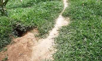 Imagem 3: São Paulo - Terreno Padrão - Vila Irmãos Arnoni