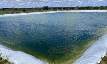 Imagem 2: Fazenda Completa à Venda em Caldas do Jorro (Tucano-Ba) - 200 tarefas - Porteira Fechada