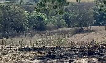 Imagem 6: Sitio em Ruilandia 300 metros da cidade