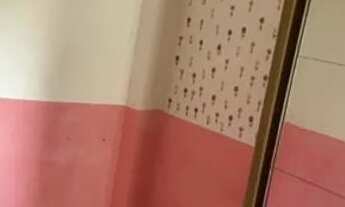 Imagem 7: Vendo apartamento terreo bloco C