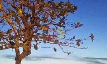 Imagem 3: Casa na Sapetinga