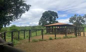Imagem 3: Fazenda 404 hectares Próximo a Salinas/MG