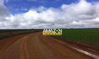 Imagem 2: Excelente fazenda no estado de Mato Grosso