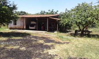 Imagem 5: Sitio pequeno a venda na estrada da produção