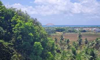 Imagem 5: TERRENO, FAZENDA, CHÁCARA, SÍTIO, ÁREA À VENDA NA BARRA DE SÃO MIGUEL COM 65.000,00m2 COM