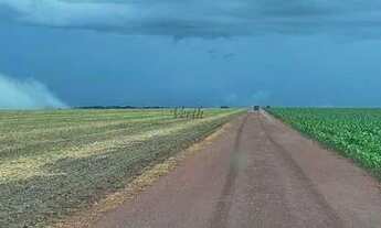 Imagem 2: Fazenda à venda 7546ha com pista de pouso - Nobres - MT
