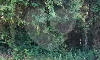 Imagem 5: Terreno à venda em Roseira - SP