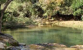 Imagem 7: Terreno ideal para chácara, um com 3.000m2 outro com 3.300m2