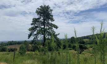 Imagem 6: Terreno em Ibiúna com doc ok e ambiente natural
